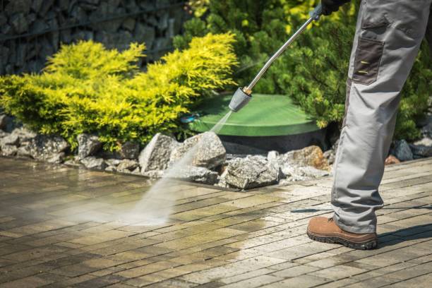 Best Roof Washing  in Delavan, IL